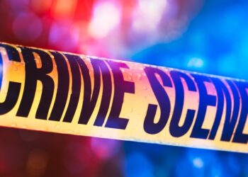 Picture Credit: King 5 News