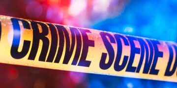 Picture Credit: King 5 News