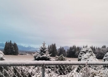 Picture Credit: KOMO News