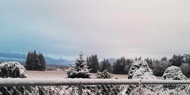 Picture Credit: KOMO News