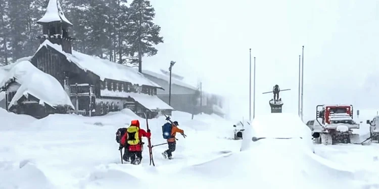 Picture Credit: NBC News