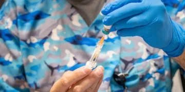 Picture Credit: Reddit