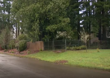 Picture Credit: KOMO News