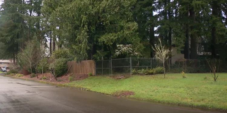 Picture Credit: KOMO News