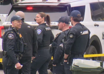 Picture Credit: KOMO News