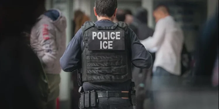 Picture Credit: WBFF