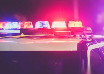 Picture Credit: WBIR