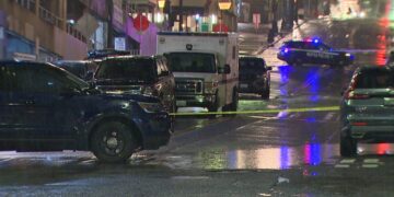 Picture Credit: King 5 News