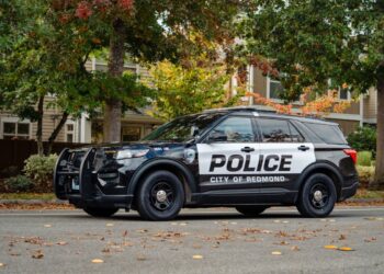 Picture Credit: Redmond.gov