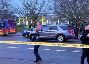 Picture Credit: KOMO News