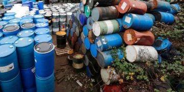 Picture Credit: KOMO News