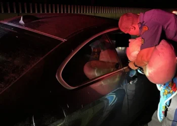 Picture Credit: KOMO News.