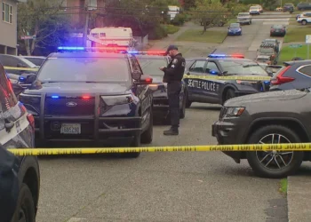 Picture Credit: KOMO News