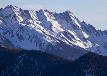 Picture Credit: KOMO News