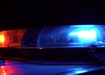 Picture Credit: Tampa Bay 28