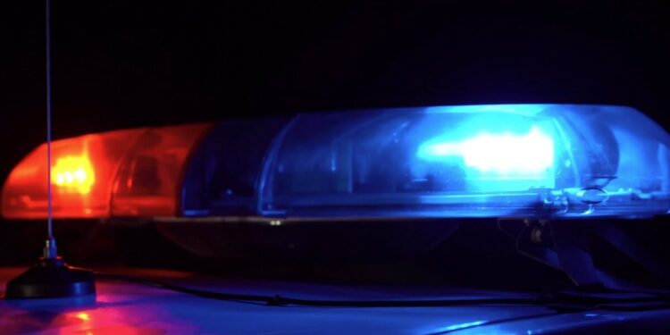 Picture Credit: Tampa Bay 28