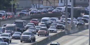 Picture Credit: Fox 13 Seattle