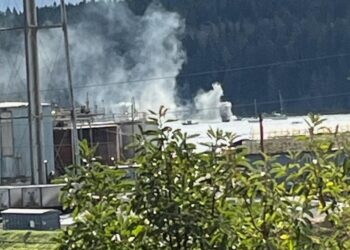 Picture Credit: King 5 News