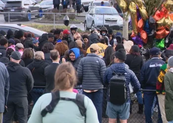 Picture Crtedit: WBFF