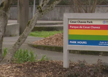 Picture Credit: KOMO News