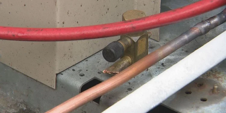 Picture Credit: KOMO News