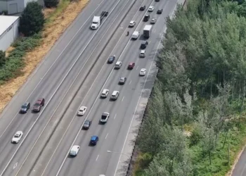 Picture Credit: KOMO News