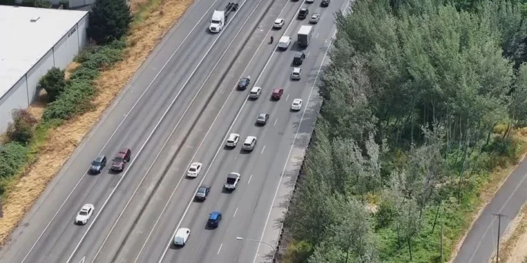 Picture Credit: KOMO News