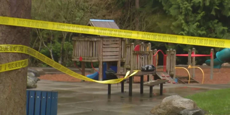 Picture Credit: KOMO News