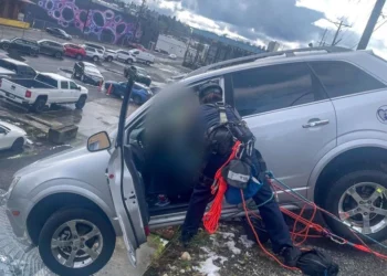 Picture Credit: KOMO News