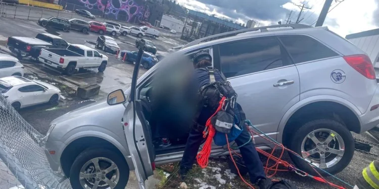 Picture Credit: KOMO News