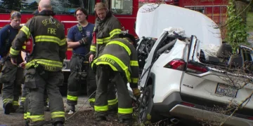 Picture Credit: KOMO News