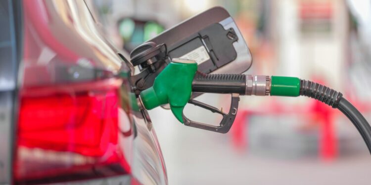 Picture Credit: Engin Akyurt