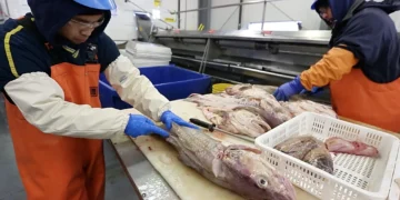 Picture Credit: The Seattle Times