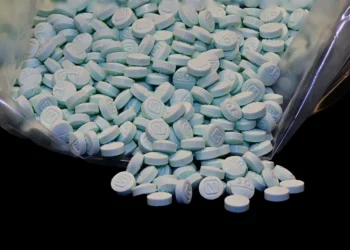 Picture Credit: New York Post