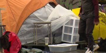 Picture Credit: KOMO News