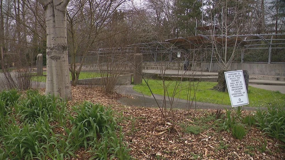 Picture Credit: KOMO News