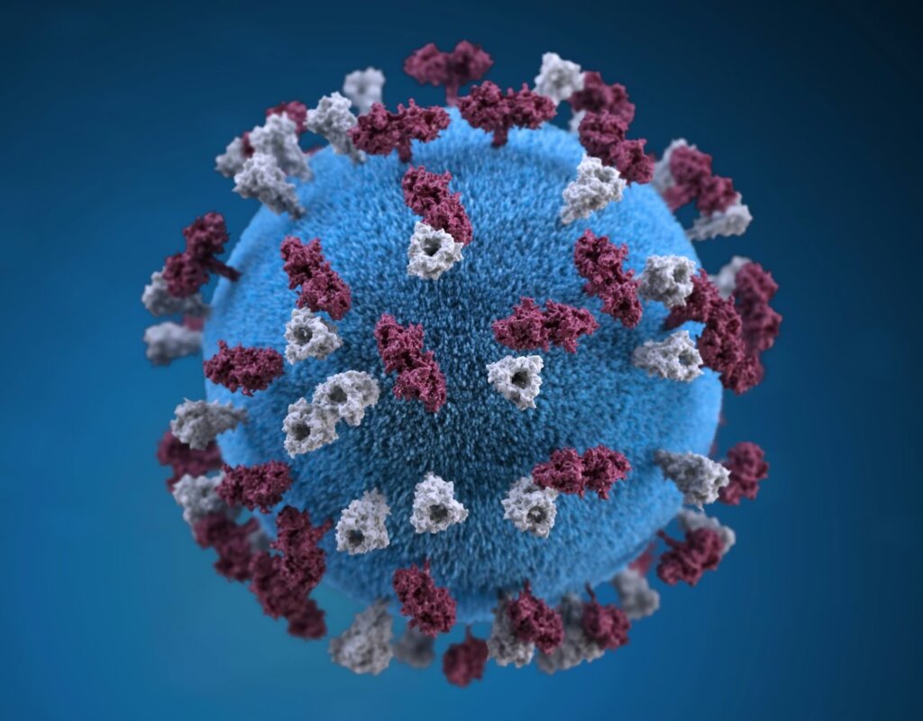 Picture Credit: CDC