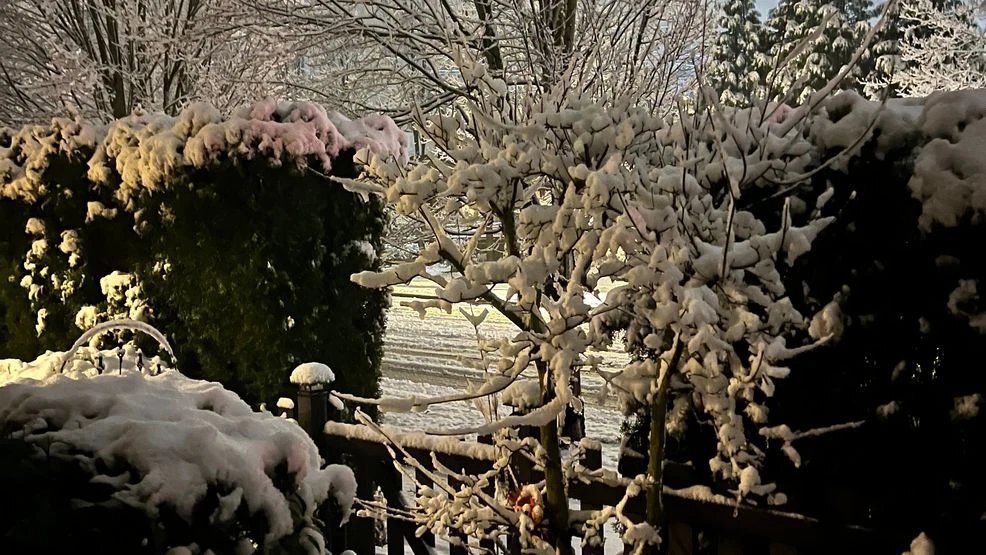 Picture Credit: KOMO News 