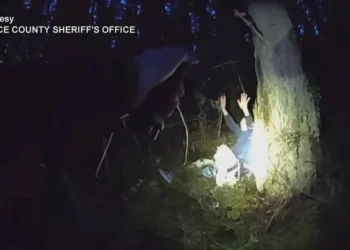 Picture Credit: KOMO News