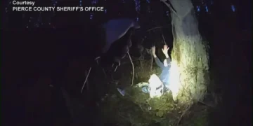 Picture Credit: KOMO News