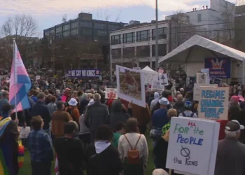 Picture Credit: KOMO News