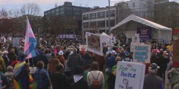 Picture Credit: KOMO News