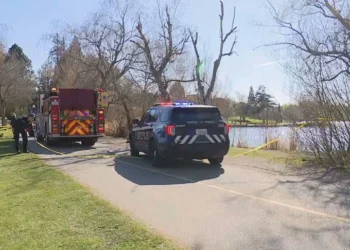 Picture Credit: KOMO News