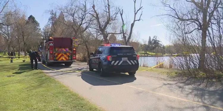 Picture Credit: KOMO News