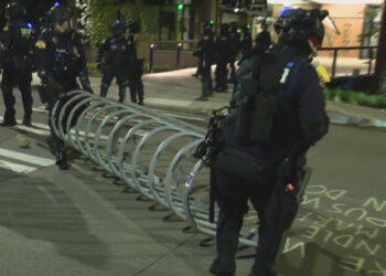 Picture Credit: KOMO News