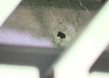 Picture Credit: KOMO News