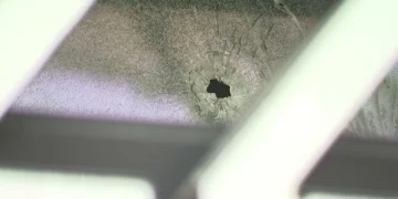 Picture Credit: KOMO News