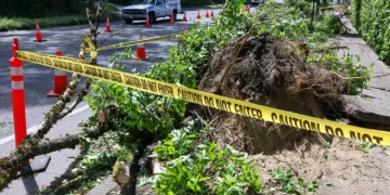 Picture Credit: the Seattle Times