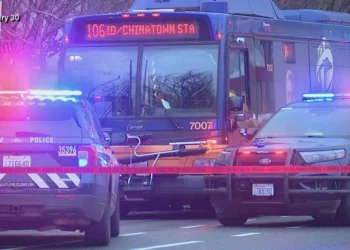 Picture Credit: KOMO News