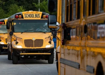 Picture Credit: KOMO News